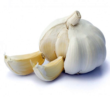 Health Benefits of Garlic