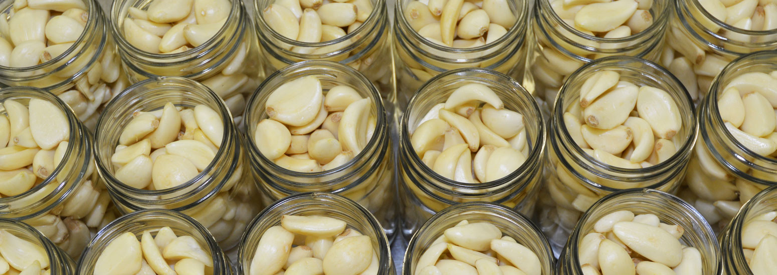 bunnyslider-garlicopenjars